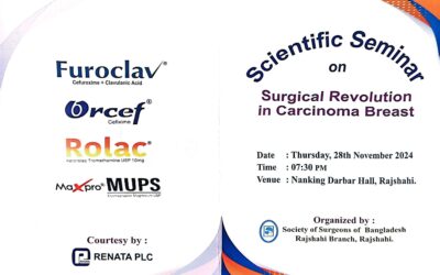 Scientific Seminar 2025